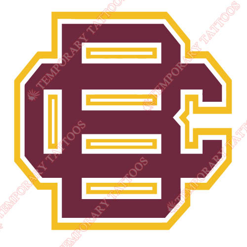 Bethune Cookman Wildcats 2010 Pres Primary Customize Temporary Tattoos Stickers NO.4002